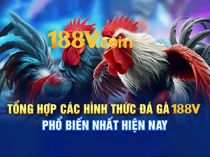 188v vom: Đột phá trải nghiệm công nghệ và thương hiệu