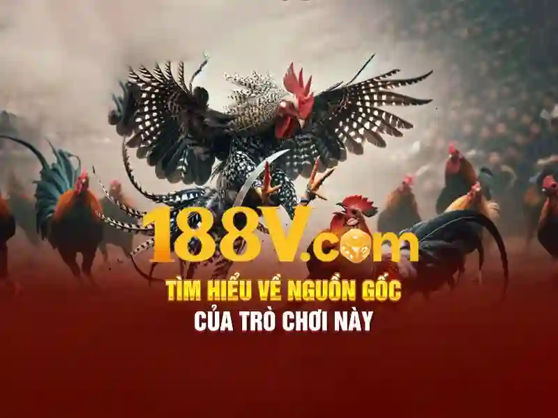 188v apk – Trải nghiệm đỉnh cao và câu chuyện thương hiệu
