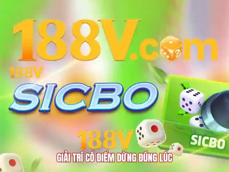 Trải nghiệm người dùng và phản hồi cộng đồng