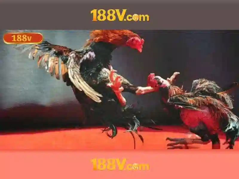 Trải nghiệm người dùng và phản hồi cộng đồng