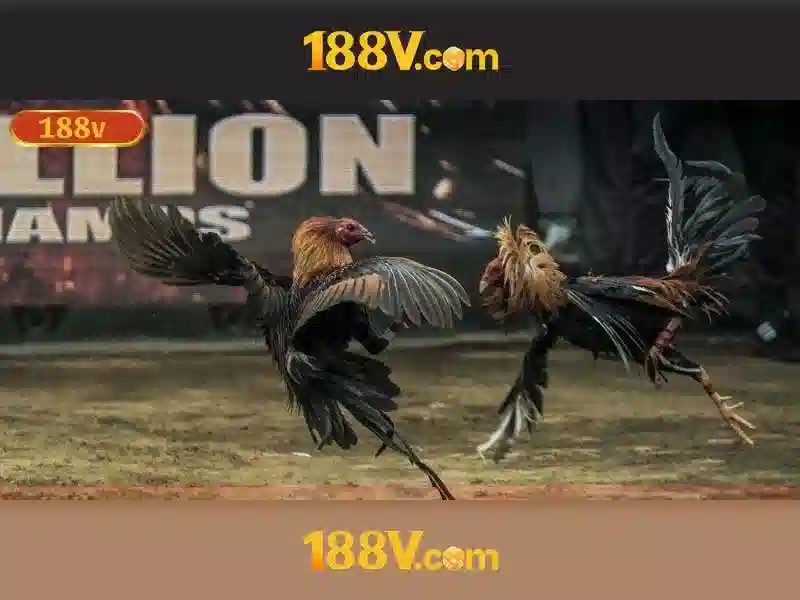 Kết luận về 188V