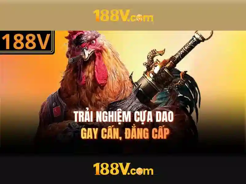 188v,com – Tổng quan, trải nghiệm và đánh giá nền tảng số