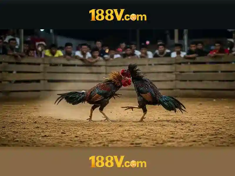 Tại app 188v – Tổng quan và giá trị cốt lõi