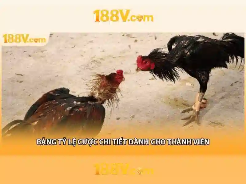 188v dang nhap - huong dan chi tiet va trai nghiem nguoi dung