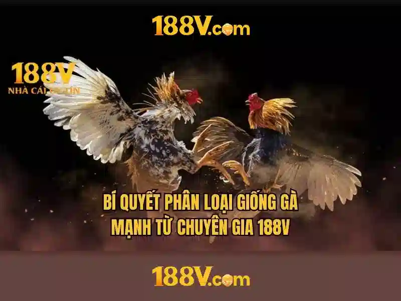 Thực tế và ứng dụng
