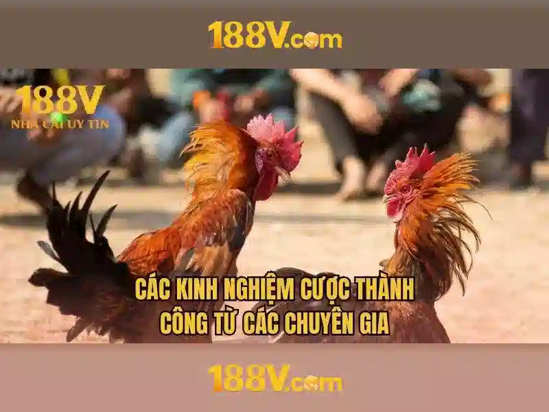 Sự so sánh giữa 188v và các chuẩn liên quan