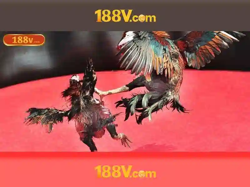 tải 188v – Tổng quan và giá trị cốt lõi