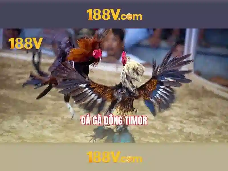 Các sản phẩm và dịch vụ chủ chốt: ứng dụng thực tế