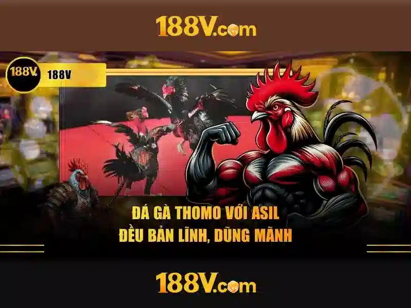Tương lai của 188v