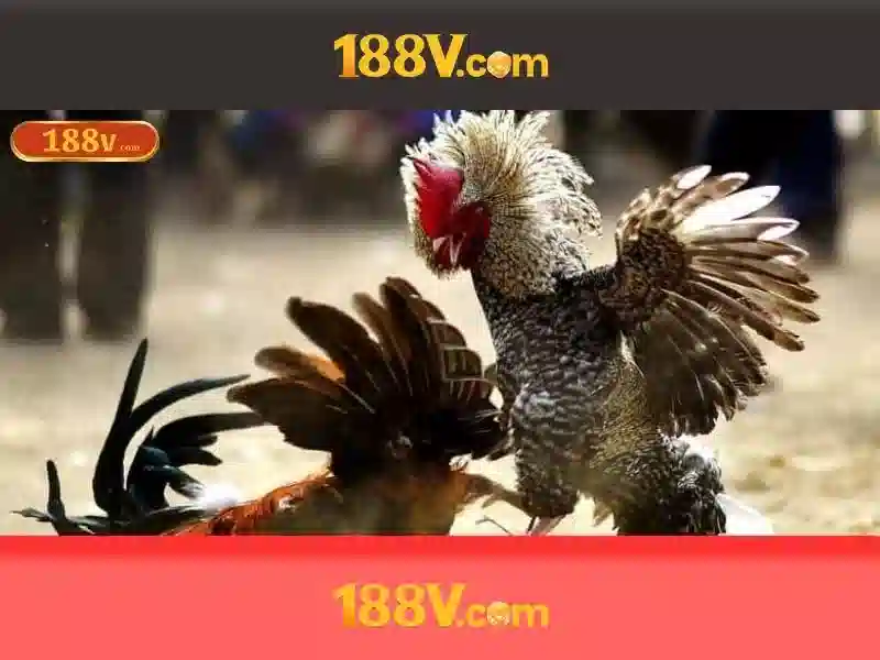 Hỗ trợ 188v: Trải nghiệm tối ưu với giftcode 188v