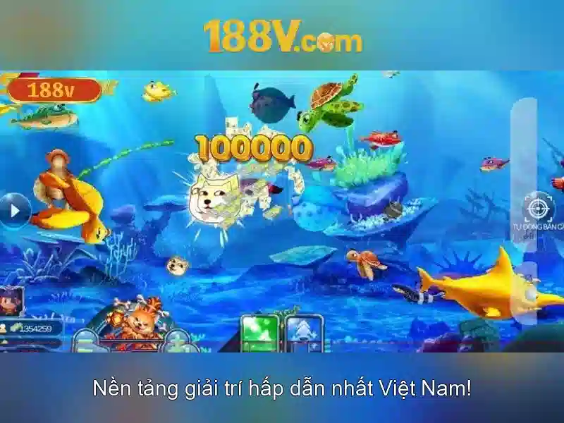 Kết luận