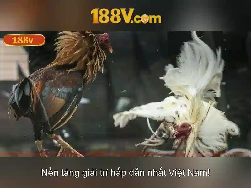 Khám phá 188v