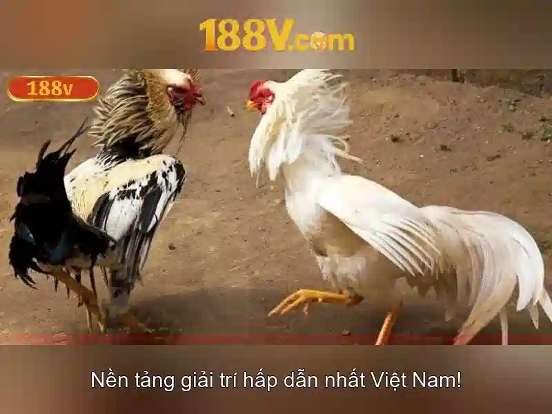 Khái niệm và công nghệ