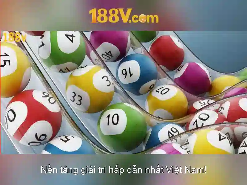 Trải nghiệm người dùng và phản hồi cộng đồng