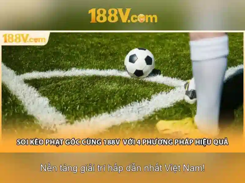 Hướng phát triển và tầm nhìn tương lai