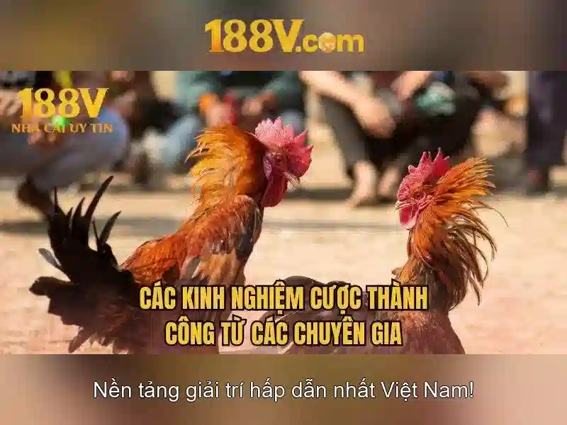 Ứng dụng của 188V