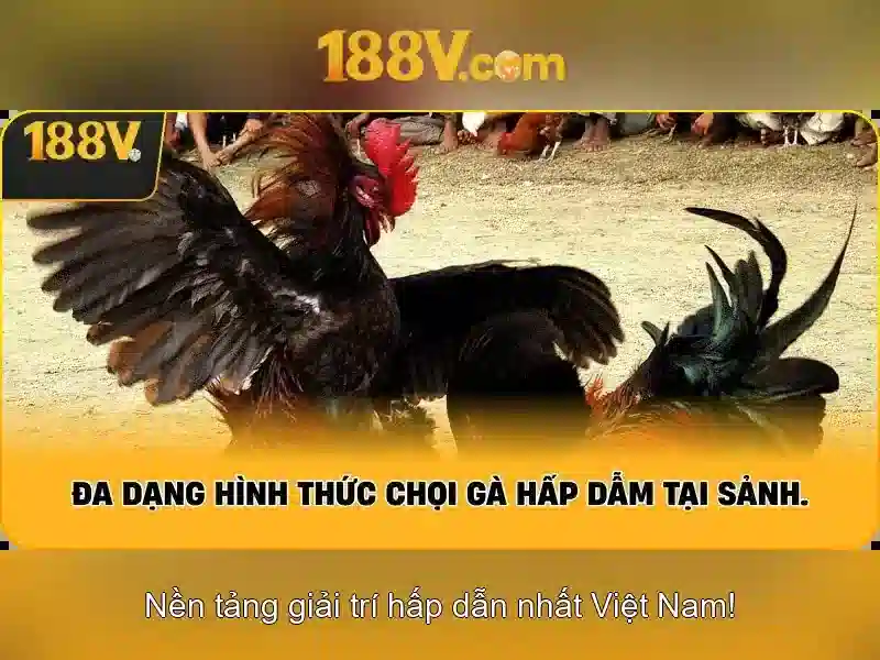 Khám phá hình dáng và ngữ nghĩa của 188v