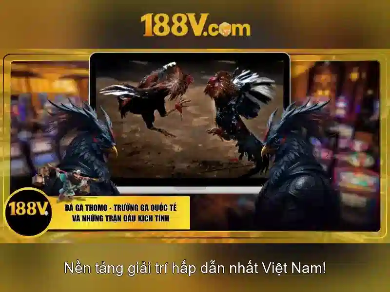 Khái niệm và nguồn gốc