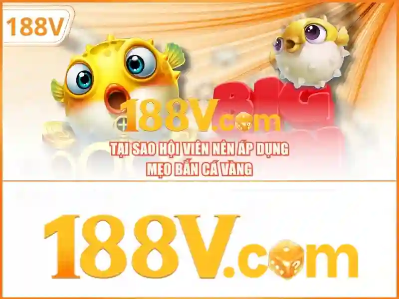 Hỗ trợ 188v: Trải nghiệm tối ưu với giftcode 188v