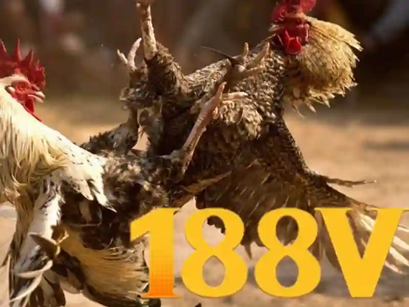 188v,com – Tổng quan, trải nghiệm và đánh giá nền tảng số