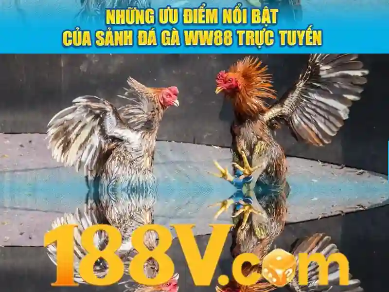 Minh họa sự hợp tác giữa người chơi và nhà cái 188v trong việc bảo vệ tài khoản