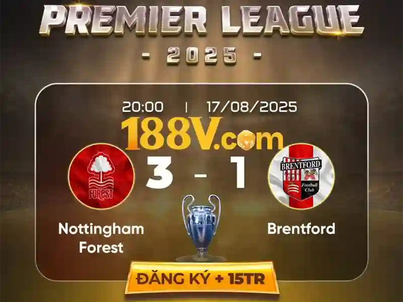 Trải nghiệm người dùng và phản hồi cộng đồng