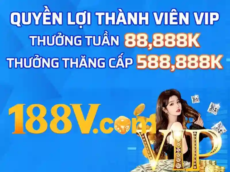 Trải nghiệm người dùng và phản hồi cộng đồng
